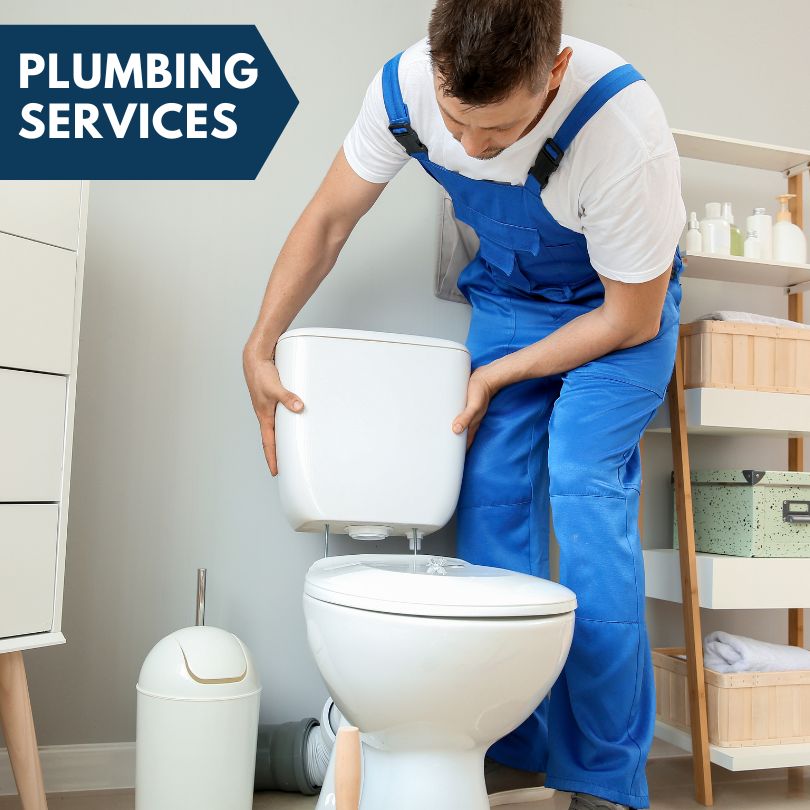 Plumbing Company in Lambertville, MI